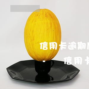 辦信用卡逾期后怎么辦 百度網(wǎng)盤-辦信用卡逾期不還會(huì)怎么樣