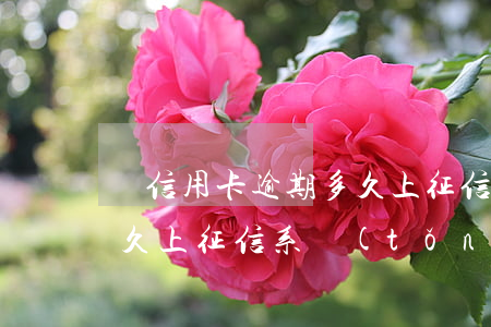 辦信用卡逾期多久上征信-辦信用卡逾期多久上征信系統(tǒng)