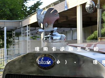 辦信用卡逾期怎么和銀行協(xié)商興業(yè)-辦信用卡逾期怎么和銀行協(xié)商興業(yè)銀行還款