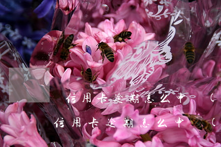辦信用卡逾期怎么申請(qǐng)光大(辦信用卡逾期怎么申請(qǐng)光大)