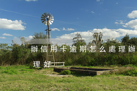 辦信用卡逾期怎么處理(辦信用卡逾期怎么處理好)