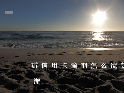 辦信用卡逾期怎么還款(信用卡逾期了該怎么辦)