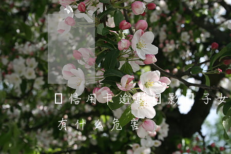 辦信用卡逾期會影響子女嗎-辦信用卡逾期有什么危害
