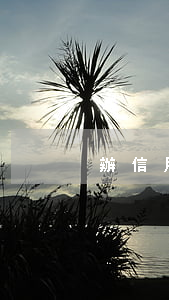 辦信用卡逾期會怎樣 辦信用卡逾期會怎樣