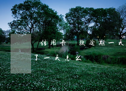 辦信用卡還款逾期一天-忘記還信用卡逾期了一天怎么辦