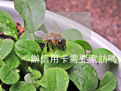 辦信用卡需要家訪嗎(辦信用卡需要家長嗎)