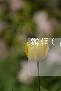 辦個(gè)假離婚證需要幾天