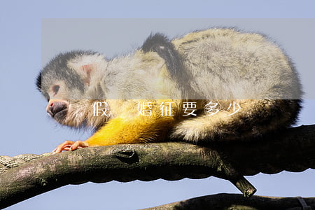 辦假離婚征要多少錢 辦假離婚征要多少錢