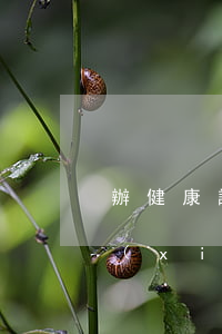 辦健康證要檢查什么，辦健康證要檢查什么項(xiàng)目
