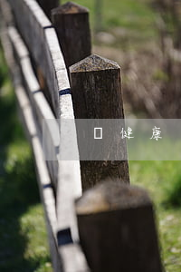辦健康證需要多久