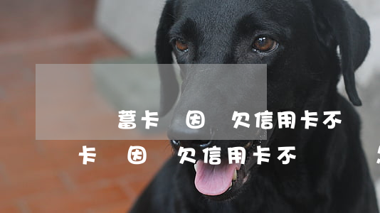 辦儲蓄卡會因為欠信用卡不給辦嗎-辦儲蓄卡會因為欠信用卡不給辦嗎怎么辦