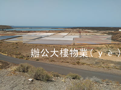 辦公大樓物業(yè)管理委托合同