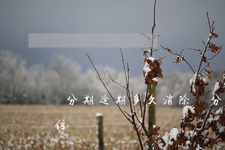 辦分期逾期多久消除 辦分期逾期多久消除征信