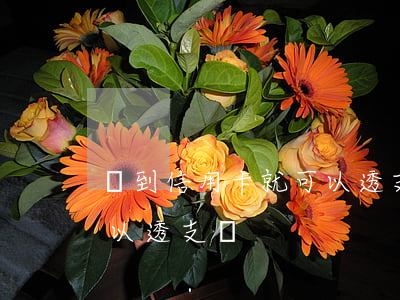 辦到信用卡就可以透支了嗎(新辦的信用卡可以透支嗎)