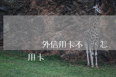 辦國外信用卡不還會怎樣(出國為什么要辦信用卡)