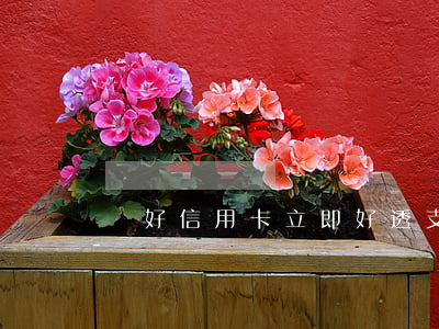 辦好信用卡立即好透支嗎(透支信用卡怎么辦)
