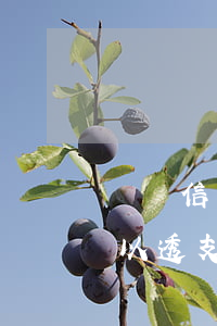 辦張信用卡可以透支多少錢(剛辦的信用卡可以透支多少錢)