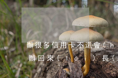 辦很多信用卡不還會(huì)怎樣(信用卡辦回來(lái)長(zhǎng)期不使用會(huì)怎么樣)