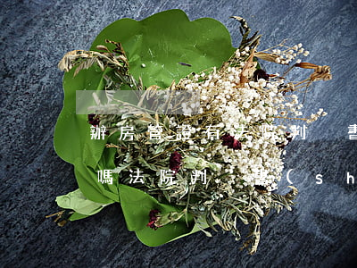 辦房管證有法院判決書(shū)就可以了嗎(法院判決書(shū)是不是在什么地方都可以辦)