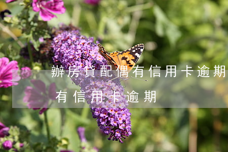 辦房貸配偶有信用卡逾期影響嗎（辦房貸配偶有信用卡逾期）