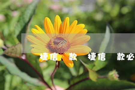 辦捷信貸款，辦捷信貸款必須買保險合法嗎