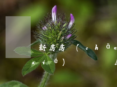 辦新房房產(chǎn)證必須要離婚協(xié)議書嗎(辦房產(chǎn)證離婚了需要哪些材料)