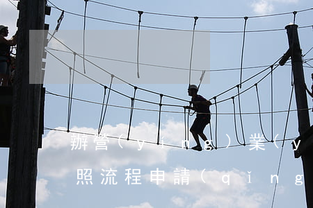 辦營(yíng)業(yè)執(zhí)照流程(申請(qǐng)辦營(yíng)業(yè)執(zhí)照流程)