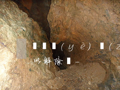 辦營業(yè)執(zhí)照個人逾期可以解除嗎-
