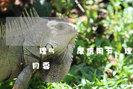 辦理5萬額度信用卡(辦理5萬額度信用卡每月要還)
