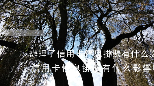 辦理了信用卡停息掛賬有什么影響-辦理了信用卡停息掛賬有什么影響嗎