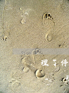 辦理了停息掛賬怎么通過(guò)銀行查詢-辦理了停息掛賬怎么通過(guò)銀行查詢到