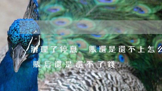 辦理了停息掛賬還是還不上怎么辦-停息掛賬后還是還不了錢