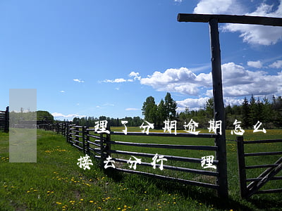 辦理了分期逾期怎么辦(辦理逾期分期可以直接去分行處理嗎)