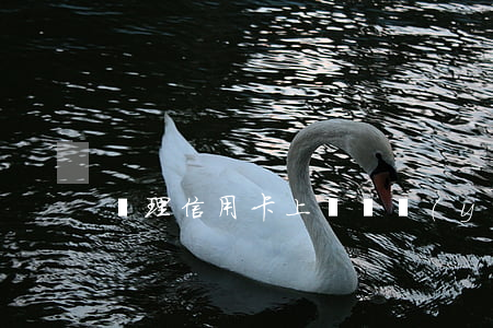 辦理信用卡上門(專業(yè)辦理信用卡)