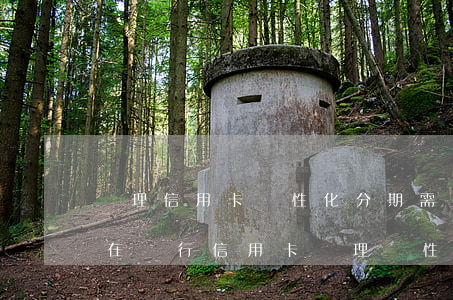 辦理信用卡個性化分期需要提交什么資料-在銀行信用卡辦理個性化分期會影響征信嗎