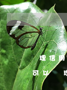 辦理信用卡有逾期能不能通過(有逾期信用卡可以辦理嗎)