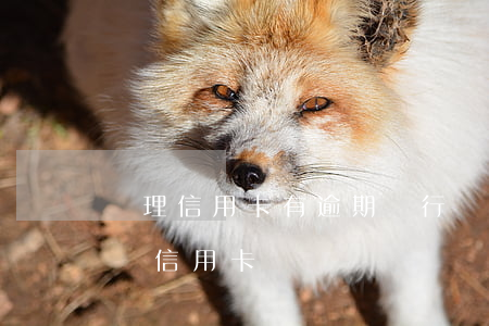 辦理信用卡有逾期銀行顯示嗎(最近有逾期能辦信用卡)