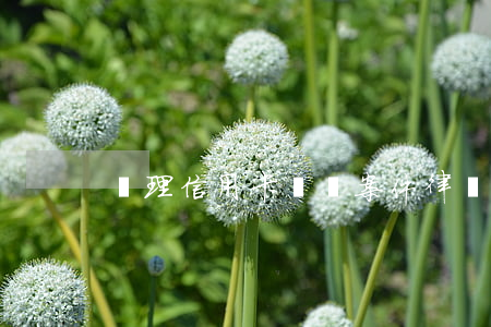 辦理信用卡糾紛案件律師(信用卡方面的律師)