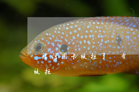 辦理信用卡被拒了沒有過逾期(辦信用卡一直被拒)