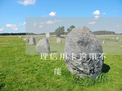 辦理信用卡逾期不還會怎么樣(辦信用卡逾期過還能辦嗎?)