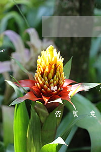 辦理信用卡逾期的律師(律師事務(wù)所咨詢免費信用卡逾期)