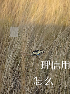 辦理信用卡逾期被拒怎么辦(辦信用卡逾期了怎么辦)