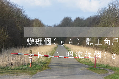 辦理個(gè)體工商戶營業(yè)執(zhí)照流程(個(gè)體工商戶營業(yè)執(zhí)照辦理程序)