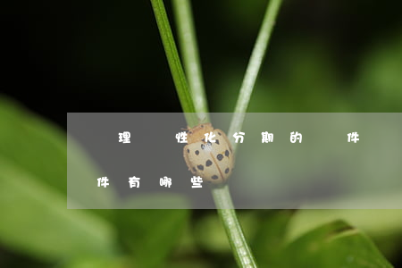 辦理個性化分期的條件(辦理個性化分期的條件有哪些)
