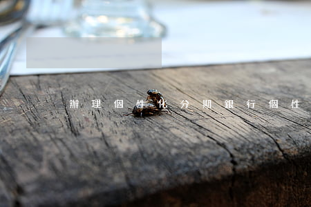 辦理個性化分期 銀行個性化分期有利息嗎