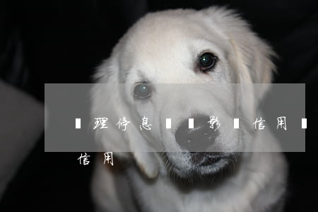 辦理停息掛賬影響信用嗎（辦理停息掛賬影響信用）