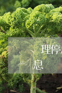 辦理停息掛賬所需資料要怎么提供-辦理停息掛賬所需資料要怎么提供呢
