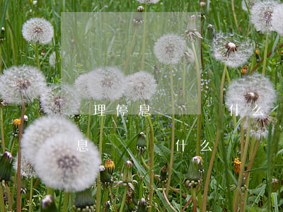 辦理停息掛賬為什么賬單還在增加-辦理停息掛賬為什么賬單還在增加額度