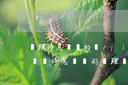 辦理停息掛賬的機(jī)構(gòu)靠譜嗎(停息掛賬好辦理嗎)