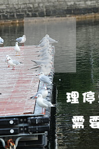 辦理停息掛賬需要多少錢一年-辦理停息掛賬需要多少錢一年呢